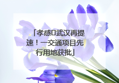 孝感⇋武汉再提速！一交通项目先行用地获批
