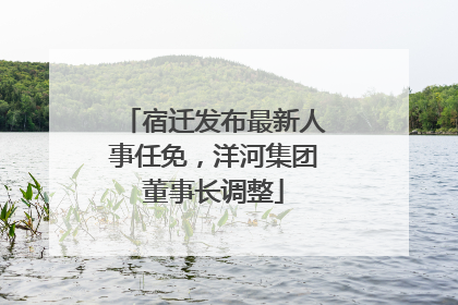 宿迁发布最新人事任免，洋河集团董事长调整