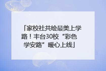 家校社共绘最美上学路！丰台30校“彩色学安路”暖心上线