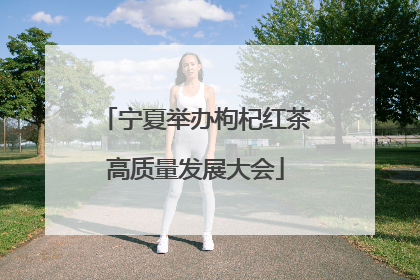 宁夏举办枸杞红茶高质量发展大会