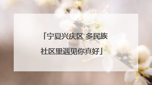 宁夏兴庆区 多民族社区里遇见你真好