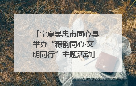 宁夏吴忠市同心县举办“粽韵同心·文明同行”主题活动