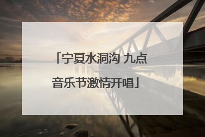 宁夏水洞沟 九点音乐节激情开唱