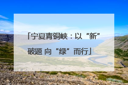 宁夏青铜峡：以“新”破题 向“绿”而行