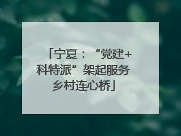 宁夏：“党建+科特派”架起服务乡村连心桥