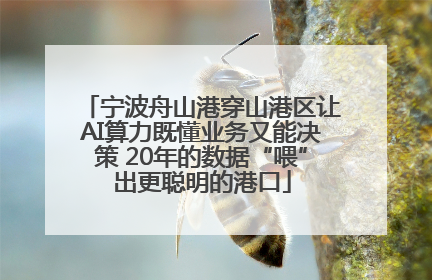 宁波舟山港穿山港区让AI算力既懂业务又能决策 20年的数据“喂”出更聪明的港口
