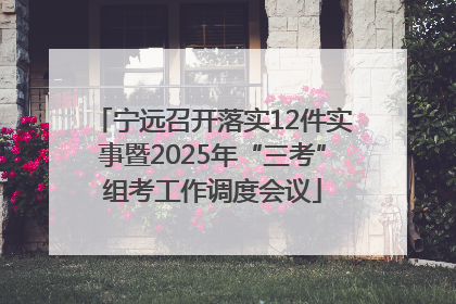 宁远召开落实12件实事暨2025年“三考”组考工作调度会议