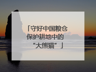 守好中国粮仓 保护耕地中的“大熊猫”