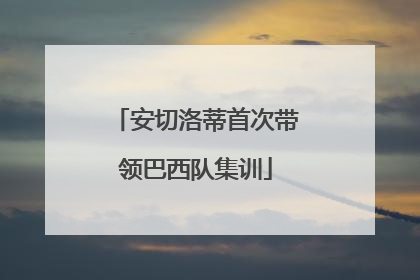 安切洛蒂首次带领巴西队集训