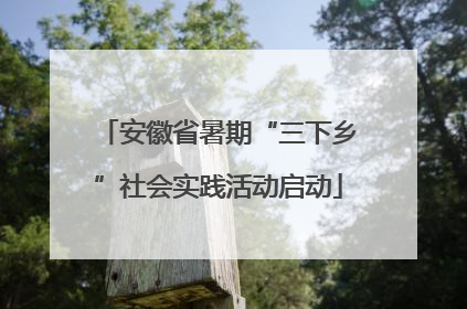 安徽省暑期“三下乡”社会实践活动启动