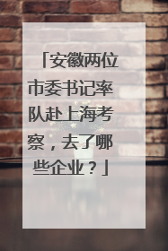 安徽两位市委书记率队赴上海考察，去了哪些企业？