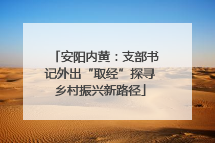 安阳内黄：支部书记外出“取经”探寻乡村振兴新路径