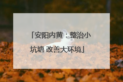 安阳内黄：整治小坑塘 改善大环境