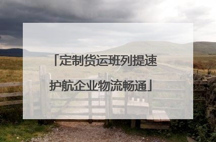 定制货运班列提速 护航企业物流畅通