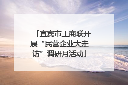 宜宾市工商联开展“民营企业大走访”调研月活动