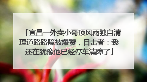 宜昌一外卖小哥顶风雨独自清理道路路障被爆赞，目击者：我还在犹豫他已经停车清障了