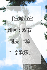 宣城市宣州区：双节同庆 “粽”享欢乐