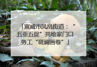 宣威市凤凰街道：“五重五促”共绘家门口务工“斑斓画卷”