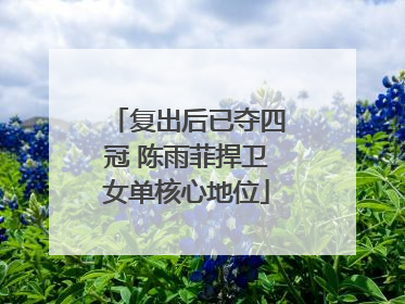 复出后已夺四冠 陈雨菲捍卫女单核心地位