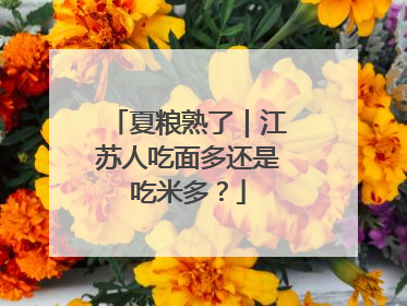 夏粮熟了｜江苏人吃面多还是吃米多？