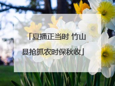 夏播正当时 竹山县抢抓农时保秋收