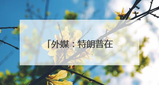 外媒：特朗普在白宫会见巴基斯坦陆军参谋长
