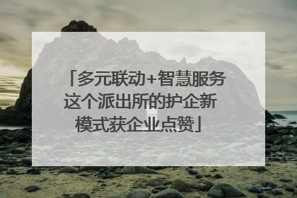 多元联动+智慧服务 这个派出所的护企新模式获企业点赞