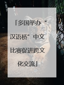 多国举办“汉语桥”中文比赛促进跨文化交流