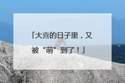 大喜的日子里，又被“萌”到了！