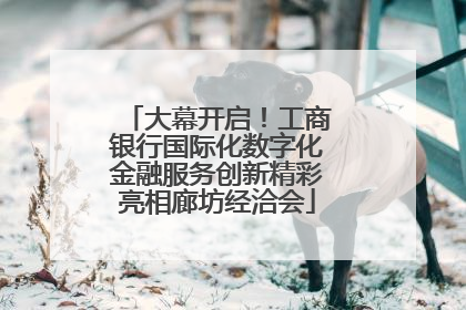 大幕开启！工商银行国际化数字化金融服务创新精彩亮相廊坊经洽会
