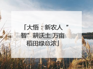 大悟：新农人“智”耕沃土 万亩稻田绿意浓