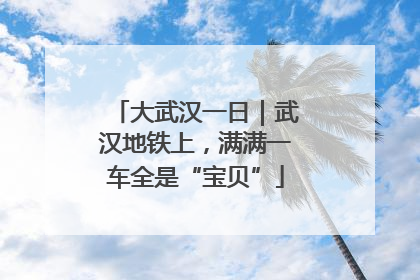 大武汉一日｜武汉地铁上，满满一车全是“宝贝”
