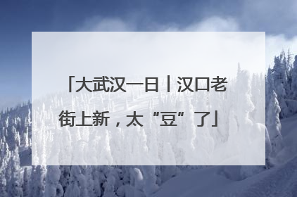 大武汉一日︱汉口老街上新，太“豆”了