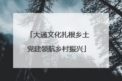 大通文化扎根乡土 党建领航乡村振兴