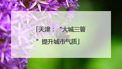 天津：“大城三管”提升城市气质