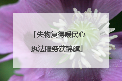 失物复得暖民心 执法服务获锦旗