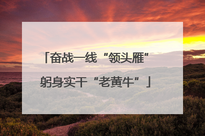 奋战一线“领头雁” 躬身实干“老黄牛”