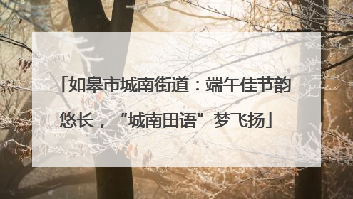 如皋市城南街道：端午佳节韵悠长，“城南田语”梦飞扬