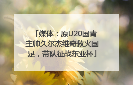 媒体：原U20国青主帅久尔杰维奇救火国足，带队征战东亚杯