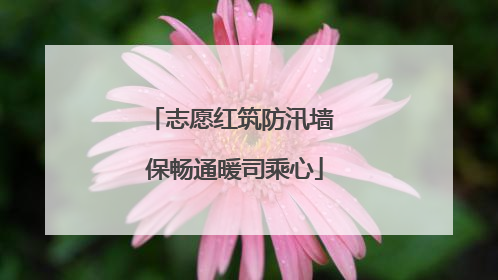 志愿红筑防汛墙 保畅通暖司乘心