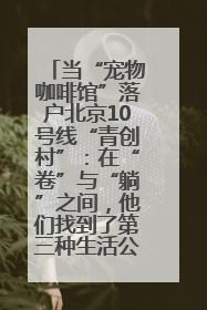 当“宠物咖啡馆”落户北京10号线“青创村”：在“卷”与“躺”之间，他们找到了第三种生活公式