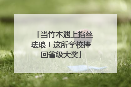 当竹木遇上掐丝珐琅！这所学校捧回省级大奖
