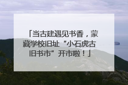 当古建遇见书香，蒙藏学校旧址“小石虎古旧书市”开市啦！