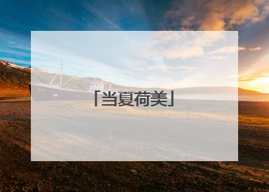 当夏荷美
