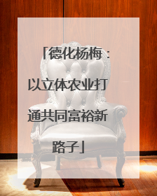 德化杨梅：以立体农业打通共同富裕新路子