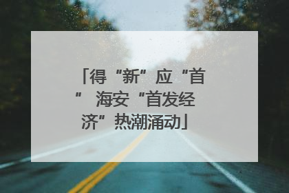 得“新”应“首” 海安“首发经济”热潮涌动