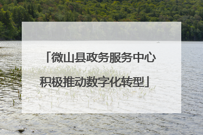 微山县政务服务中心积极推动数字化转型