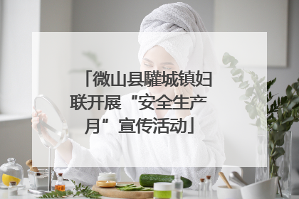 微山县驩城镇妇联开展“安全生产月”宣传活动