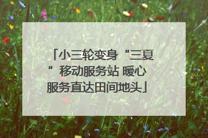 小三轮变身“三夏”移动服务站 暖心服务直达田间地头