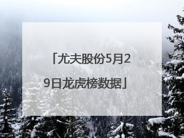 尤夫股份5月29日龙虎榜数据